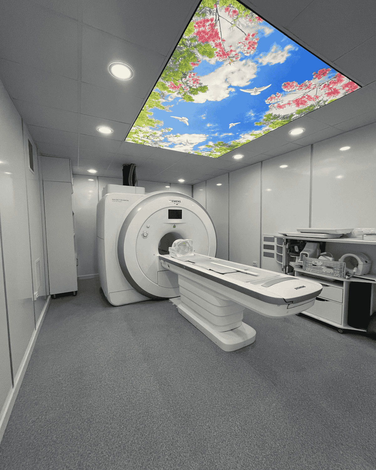 RF Cabin Systems - Image 5