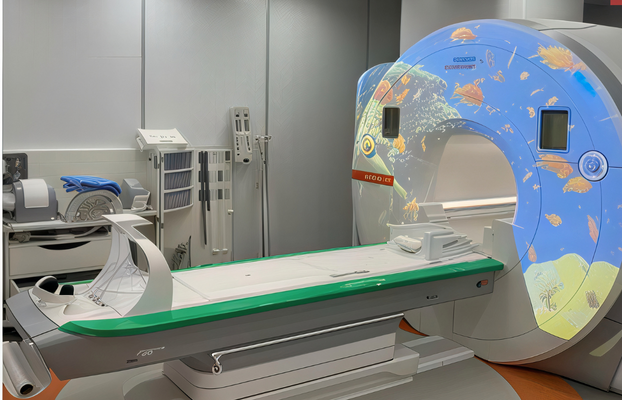 MR RF Kabini Projeleri